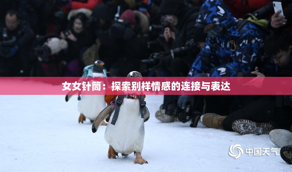 女女针筒：探索别样情感的连接与表达