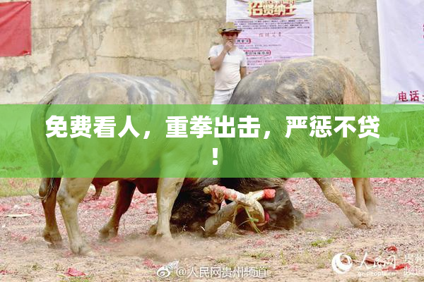 免费看人，重拳出击，严惩不贷！