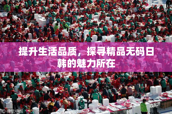 提升生活品质，探寻精品无码日韩的魅力所在