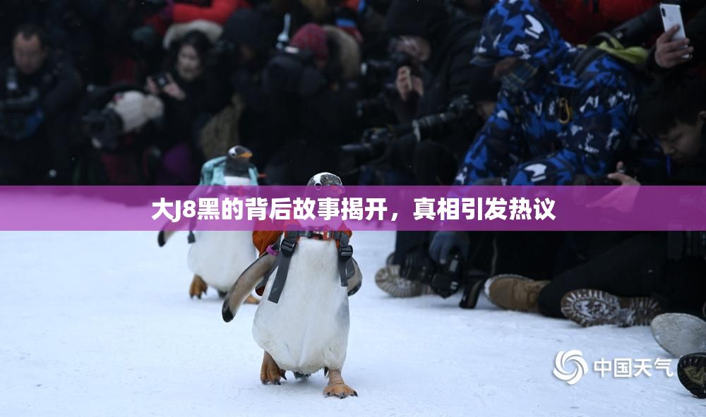 大J8黑的背后故事揭开，真相引发热议