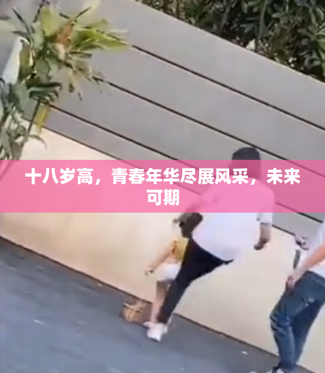 十八岁高，青春年华尽展风采，未来可期