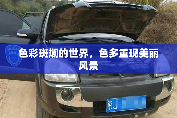 色彩斑斓的世界，色多重现美丽风景