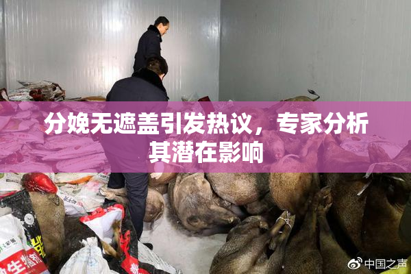 分娩无遮盖引发热议，专家分析其潜在影响