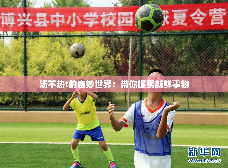 汤不热t的奇妙世界：带你探索新鲜事物