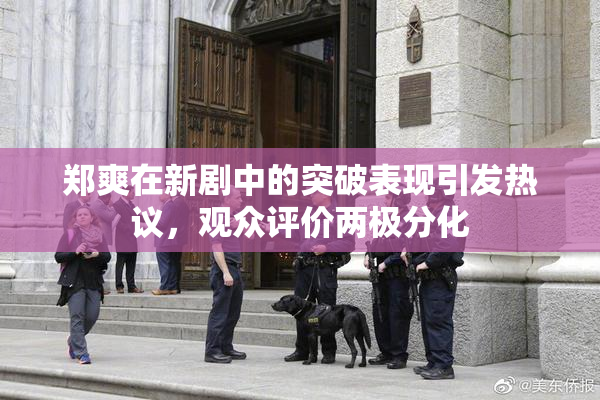 郑爽在新剧中的突破表现引发热议，观众评价两极分化
