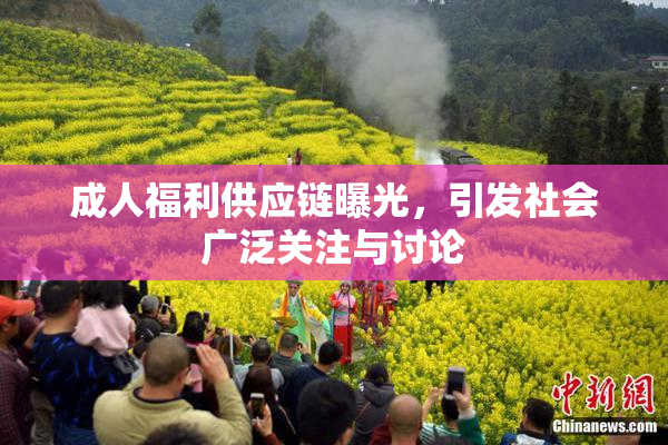 成人福利供应链曝光，引发社会广泛关注与讨论