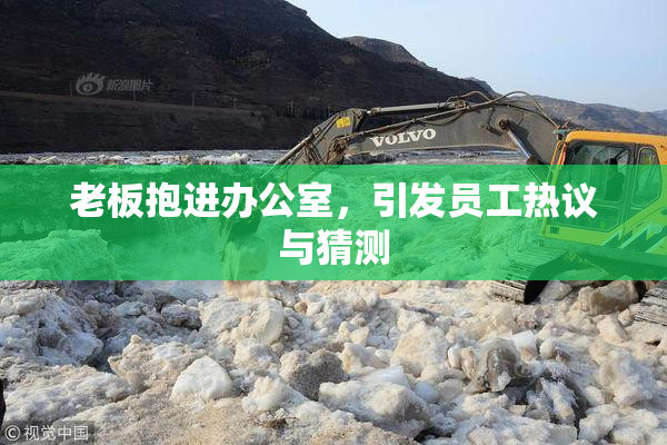 老板抱进办公室，引发员工热议与猜测