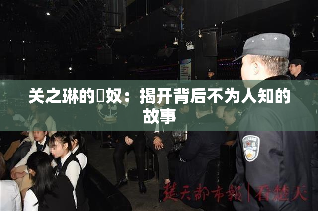 关之琳的婬奴：揭开背后不为人知的故事