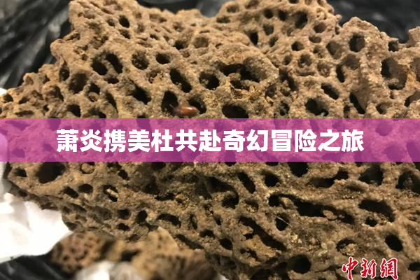 萧炎携美杜共赴奇幻冒险之旅