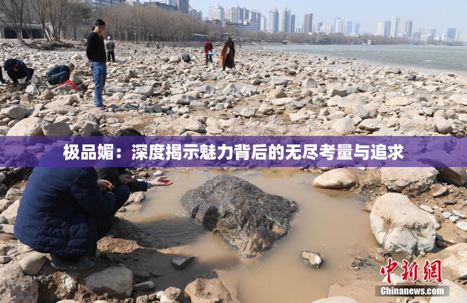 极品媚：深度揭示魅力背后的无尽考量与追求