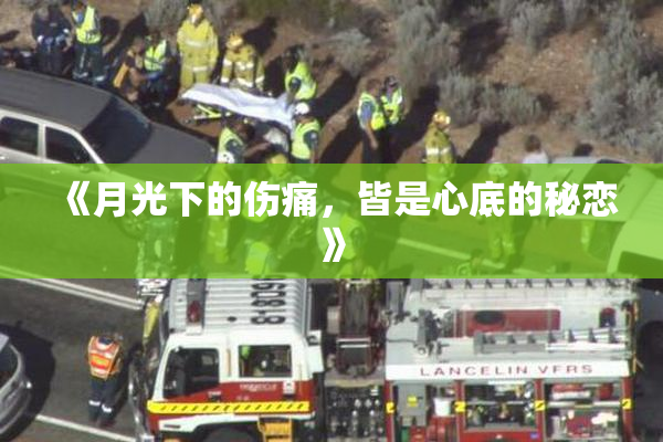 《月光下的伤痛，皆是心底的秘恋》