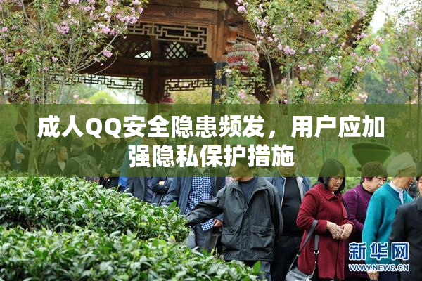 成人QQ安全隐患频发，用户应加强隐私保护措施