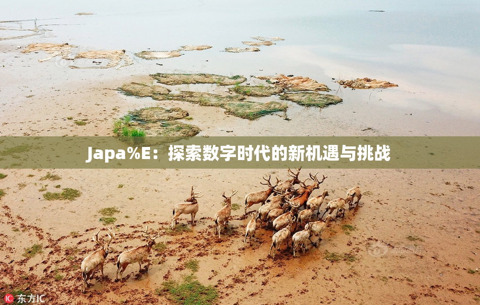 Japa%E：探索数字时代的新机遇与挑战