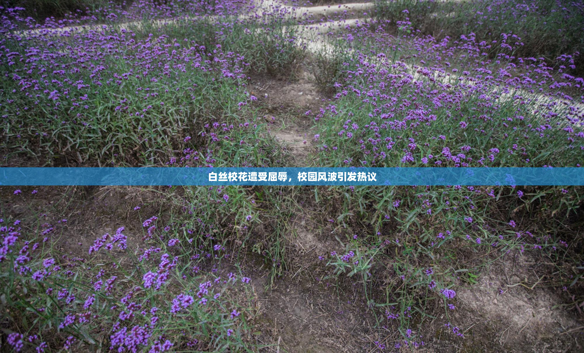 白丝校花遭受屈辱，校园风波引发热议