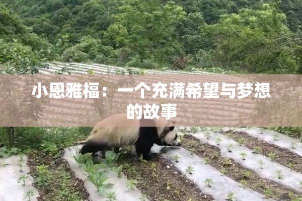 小恩雅福：一个充满希望与梦想的故事