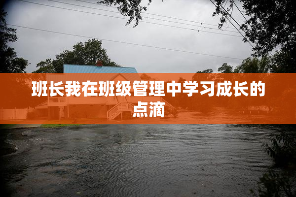 班长我在班级管理中学习成长的点滴