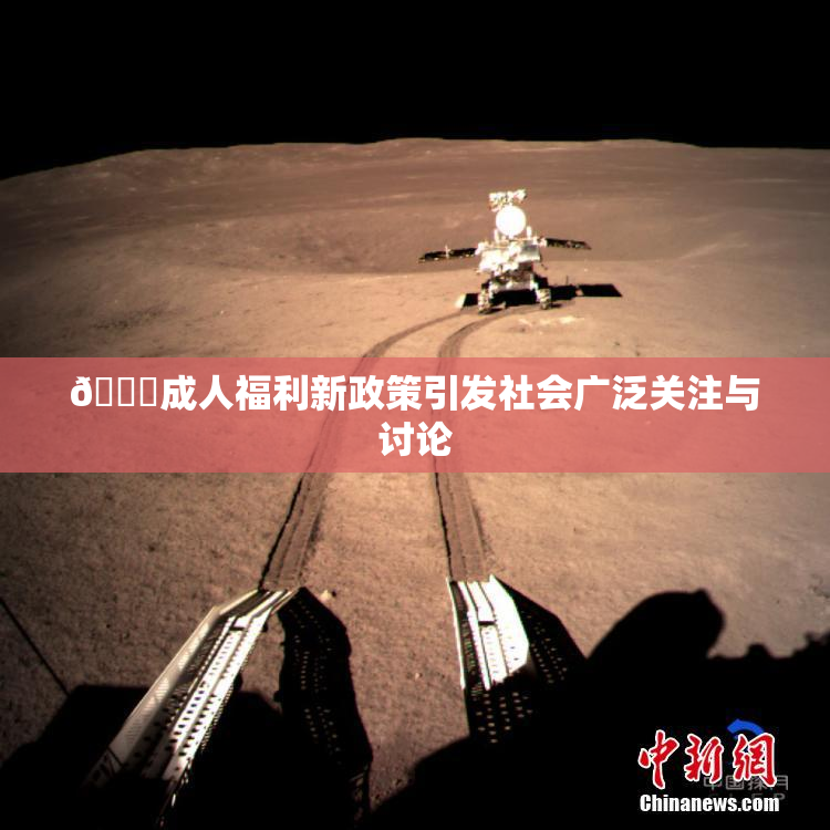 🔞成人福利新政策引发社会广泛关注与讨论