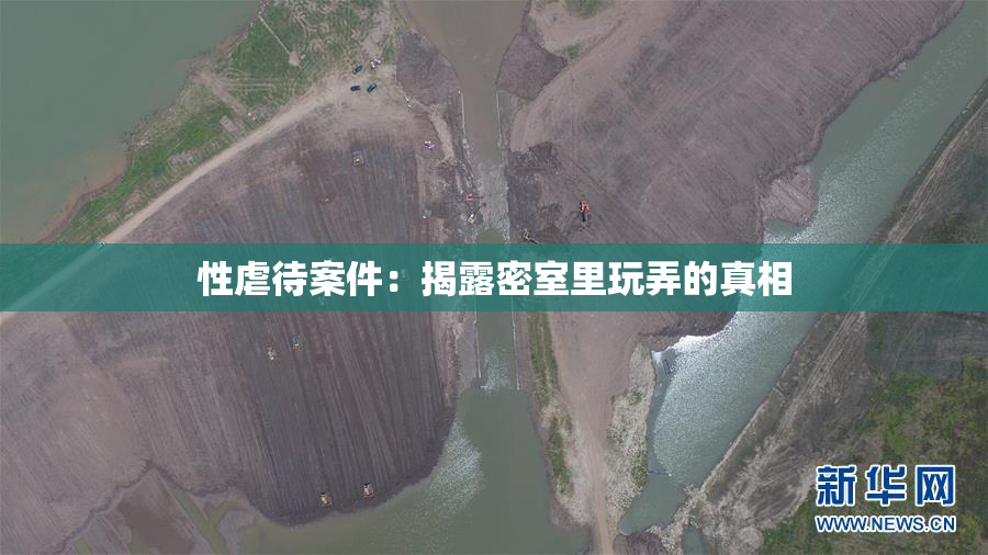 性虐待案件：揭露密室里玩弄的真相