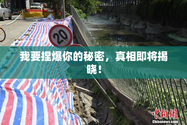 我要捏爆你的秘密，真相即将揭晓！