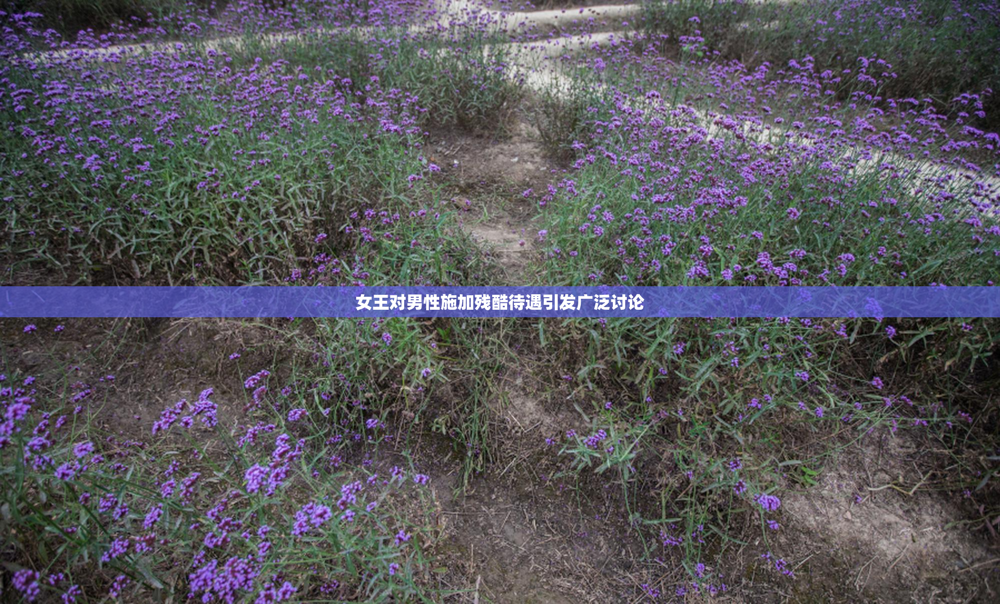 女王对男性施加残酷待遇引发广泛讨论