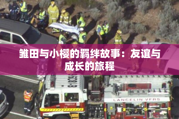 雏田与小樱的羁绊故事：友谊与成长的旅程