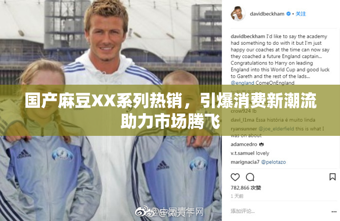 国产麻豆XX系列热销，引爆消费新潮流助力市场腾飞