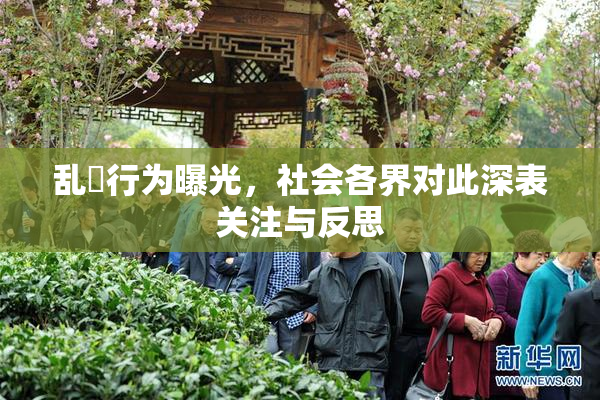 乱婬行为曝光，社会各界对此深表关注与反思