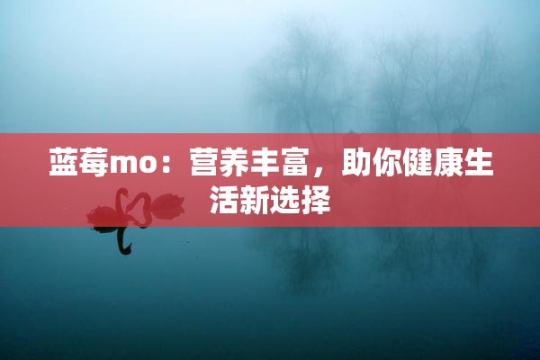 蓝莓mo：营养丰富，助你健康生活新选择
