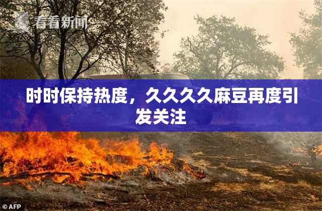 时时保持热度，久久久久麻豆再度引发关注