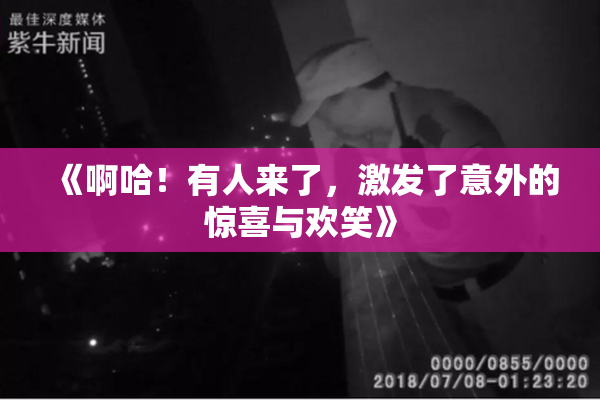 《啊哈！有人来了，激发了意外的惊喜与欢笑》