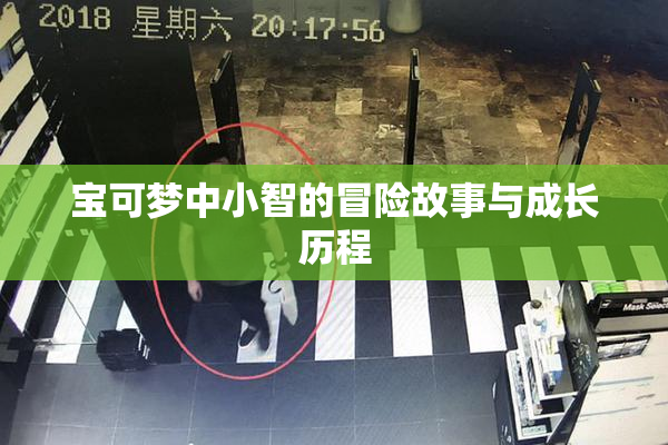 宝可梦中小智的冒险故事与成长历程