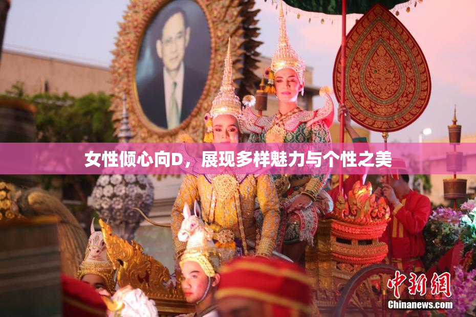女性倾心向D，展现多样魅力与个性之美