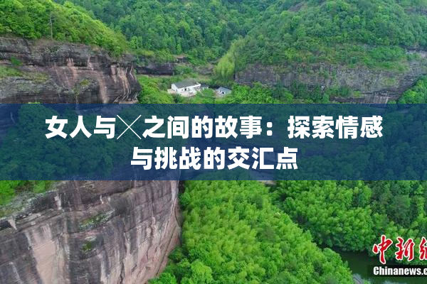 女人与╳之间的故事：探索情感与挑战的交汇点