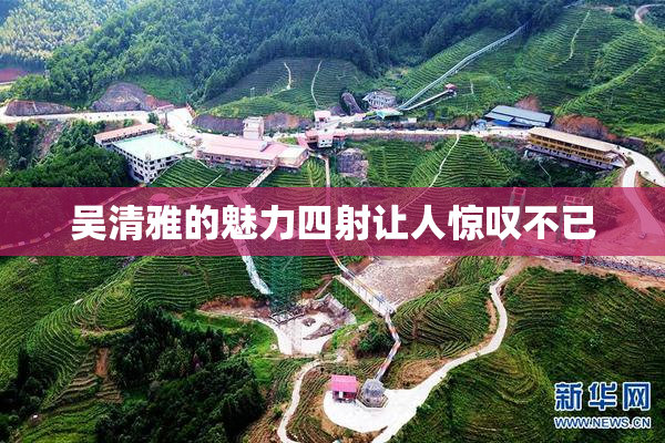 吴清雅的魅力四射让人惊叹不已