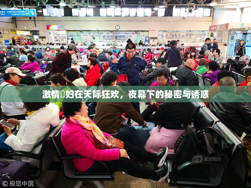 激情婬妇在天际狂欢，夜幕下的秘密与诱惑