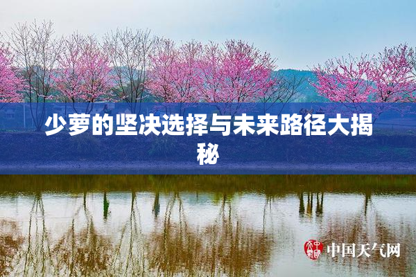 少萝的坚决选择与未来路径大揭秘