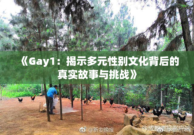 《Gay1：揭示多元性别文化背后的真实故事与挑战》