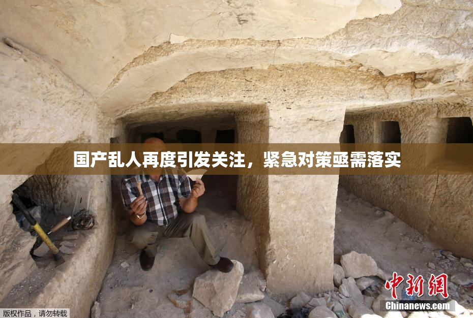 国产乱人再度引发关注，紧急对策亟需落实