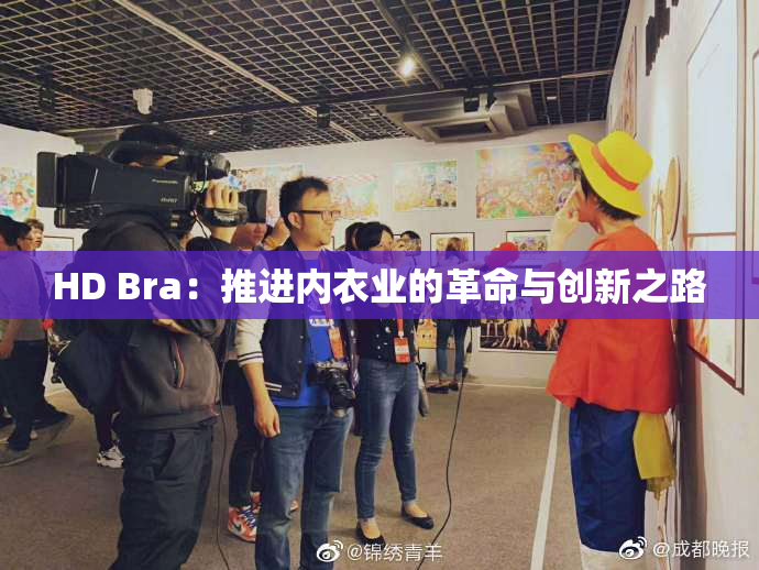 HD Bra：推进内衣业的革命与创新之路