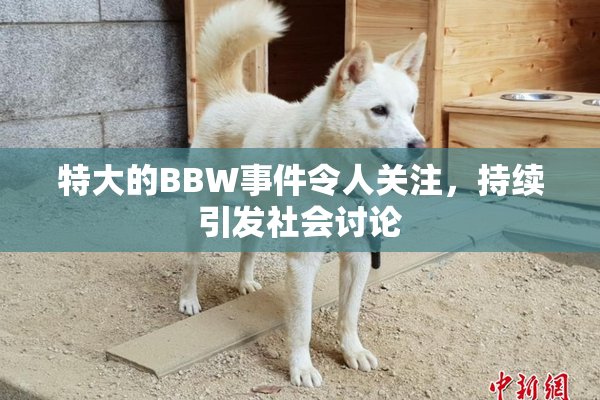 特大的BBW事件令人关注，持续引发社会讨论