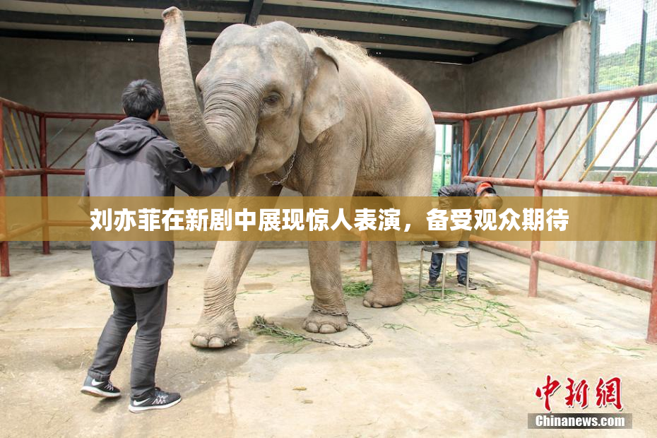 刘亦菲在新剧中展现惊人表演，备受观众期待