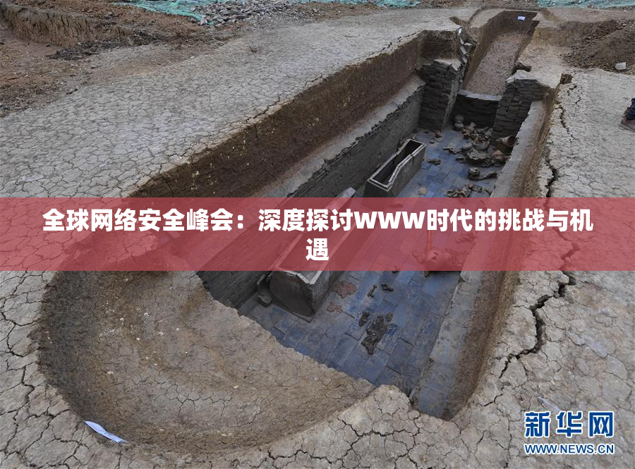 全球网络安全峰会：深度探讨WWW时代的挑战与机遇