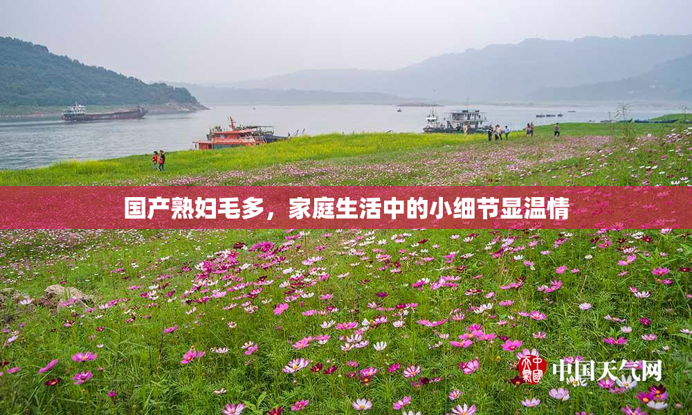 国产熟妇毛多，家庭生活中的小细节显温情