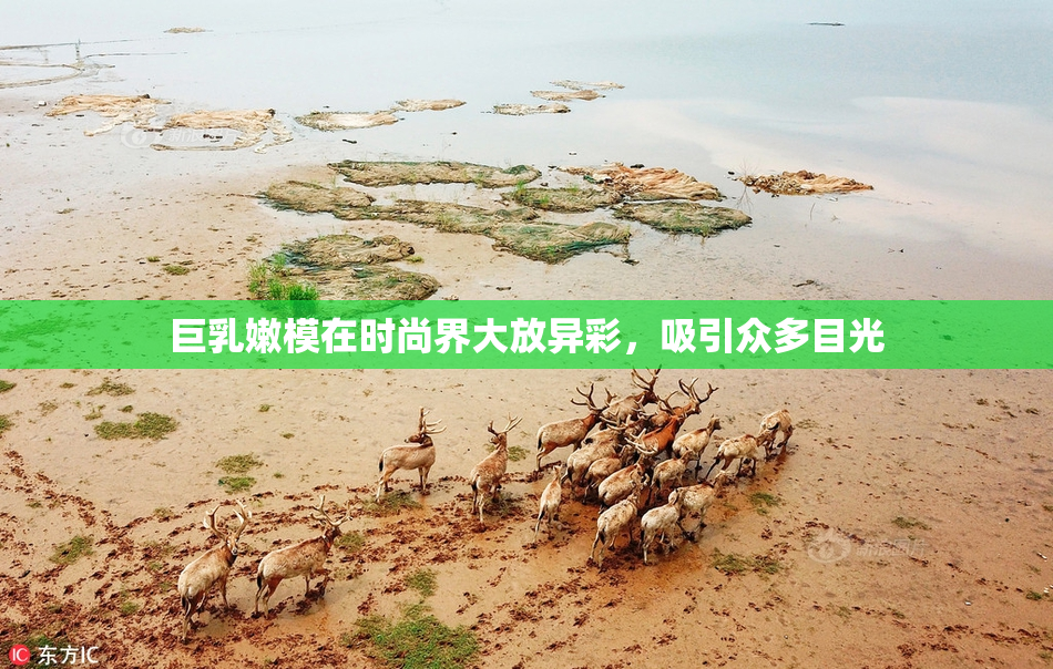 巨乳嫩模在时尚界大放异彩，吸引众多目光