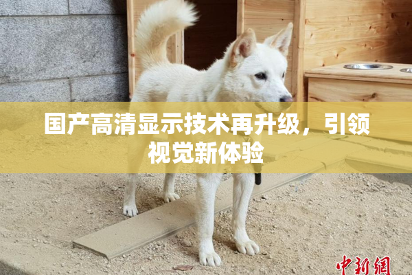 国产高清显示技术再升级，引领视觉新体验