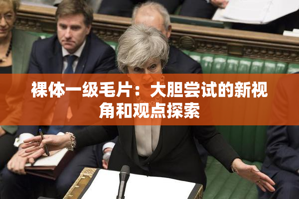 裸体一级毛片：大胆尝试的新视角和观点探索