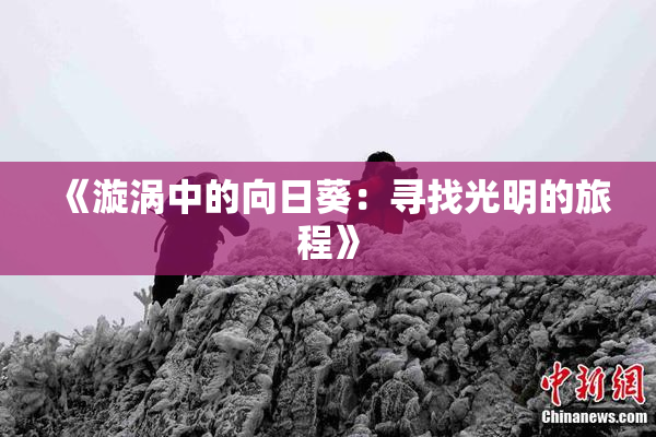 《漩涡中的向日葵：寻找光明的旅程》