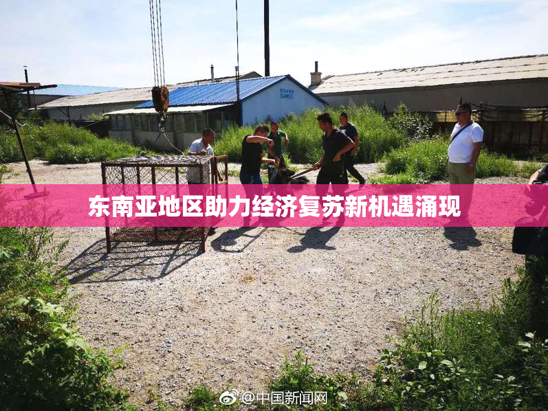 东南亚地区助力经济复苏新机遇涌现