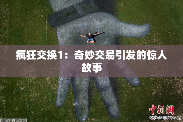 疯狂交换1：奇妙交易引发的惊人故事