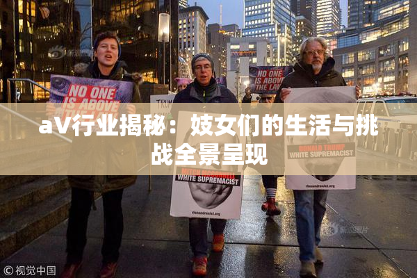 aV行业揭秘：妓女们的生活与挑战全景呈现